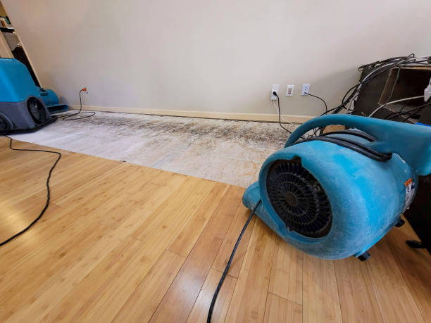 Professional Burst Pipe Water Damage technician working in Royal Oak, MI